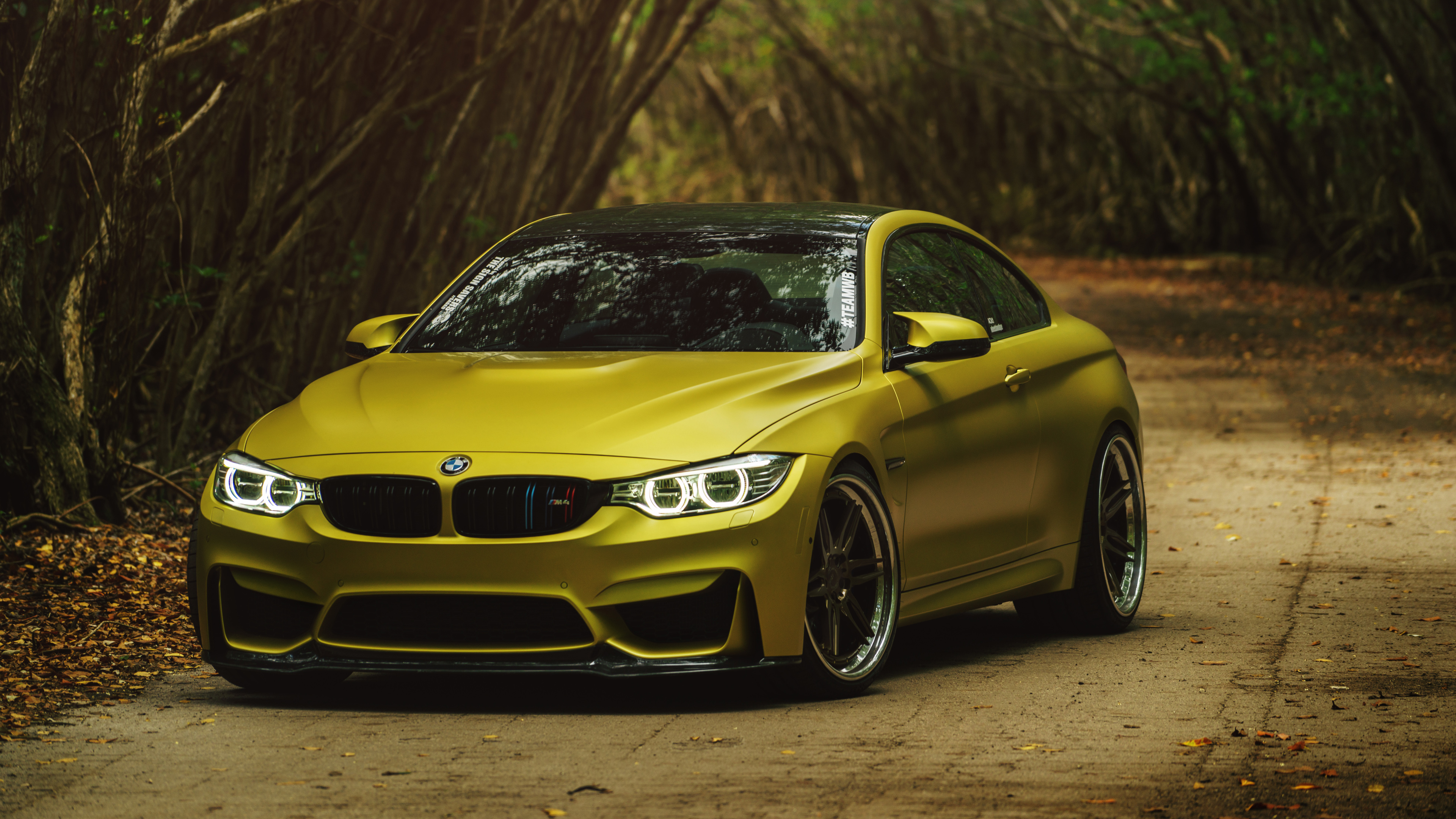 great hd BMW M4 image