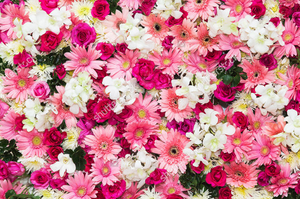 easy to download flower image