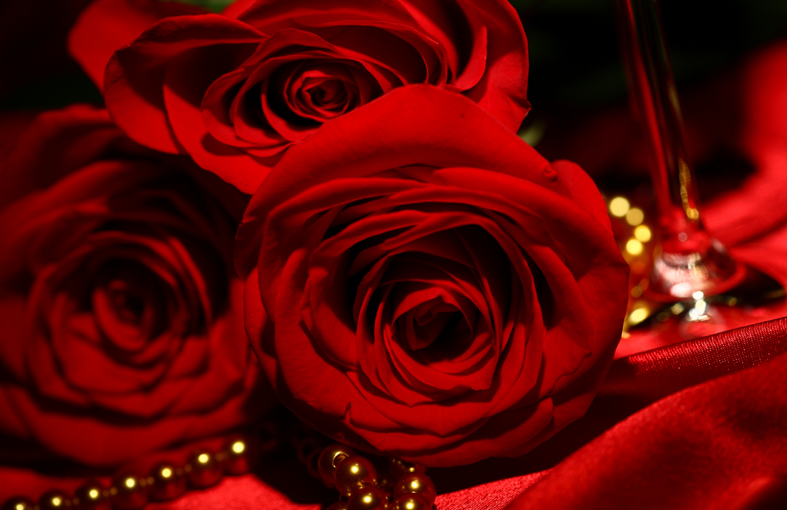 free red roses wallpaper