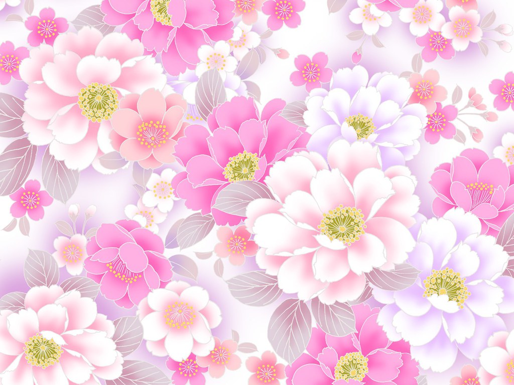 pink and white flower image
