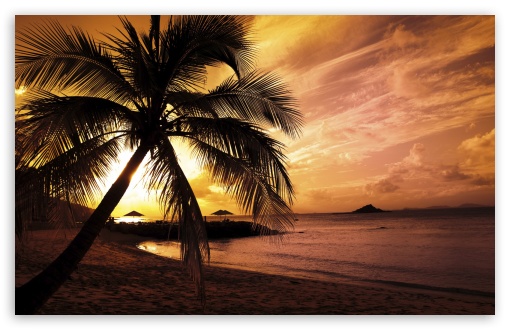 tropical nature widescreen image