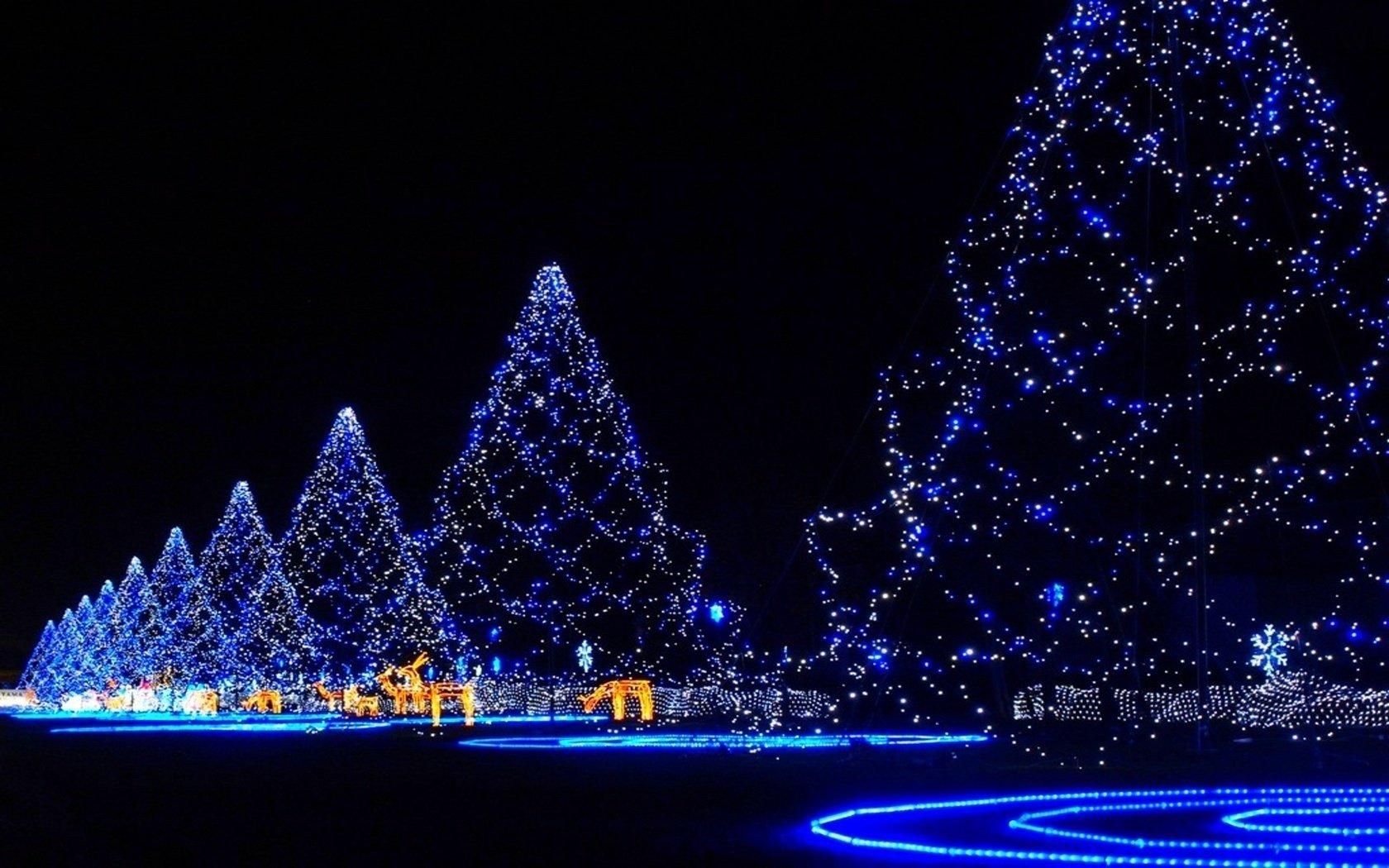 nice tree blue lights