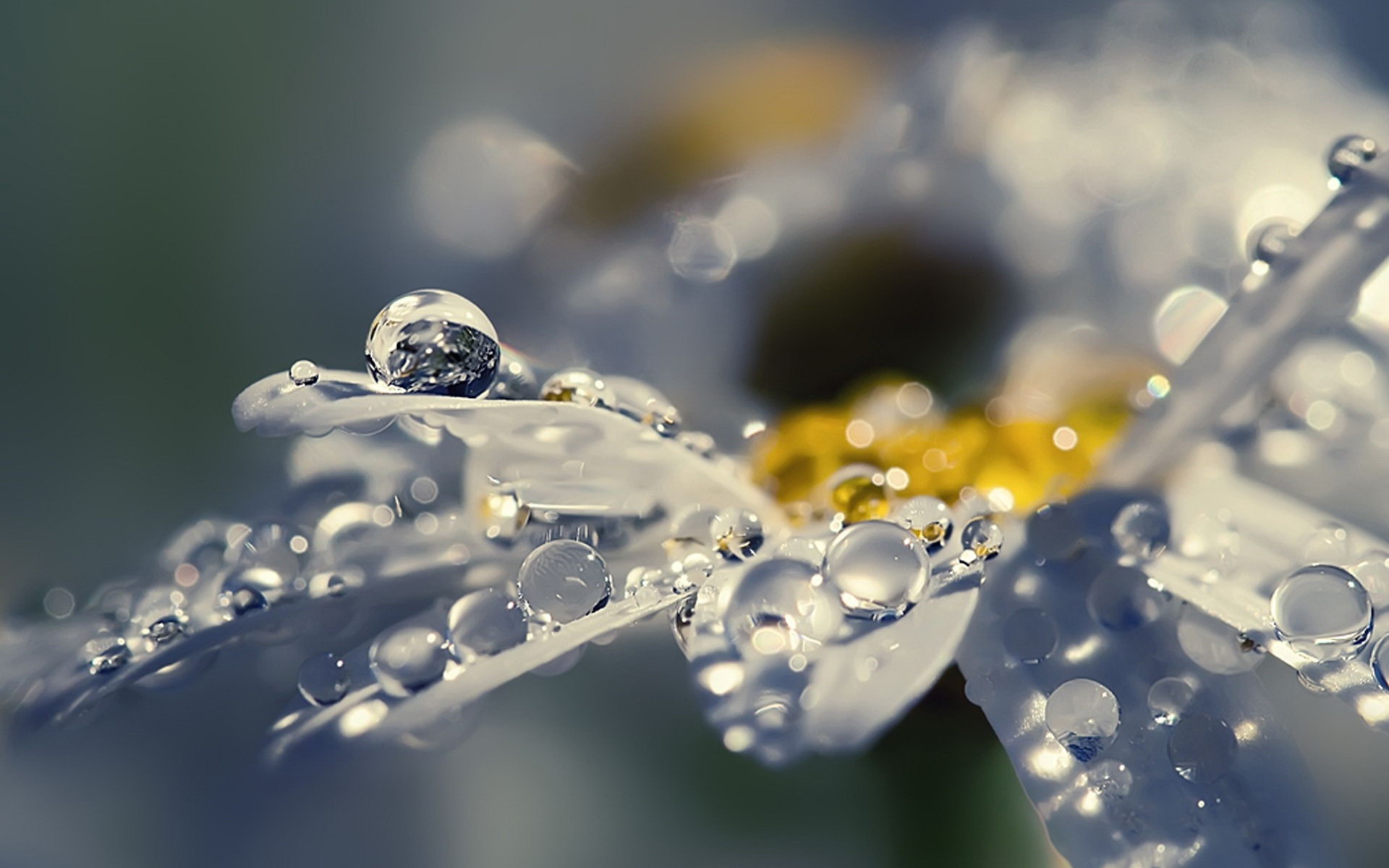 landscape drop of water image