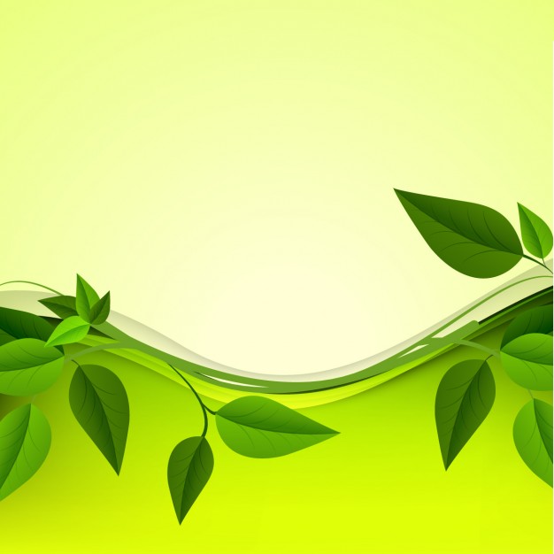best Green Leaf Background