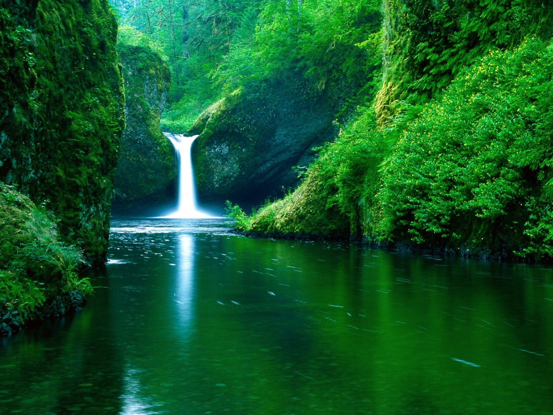 green tree waterfall image