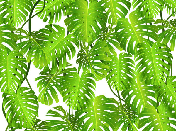 wonderful hd Green Leaf Background