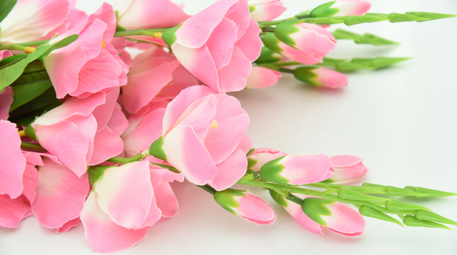 pink Beautiful Flowers image