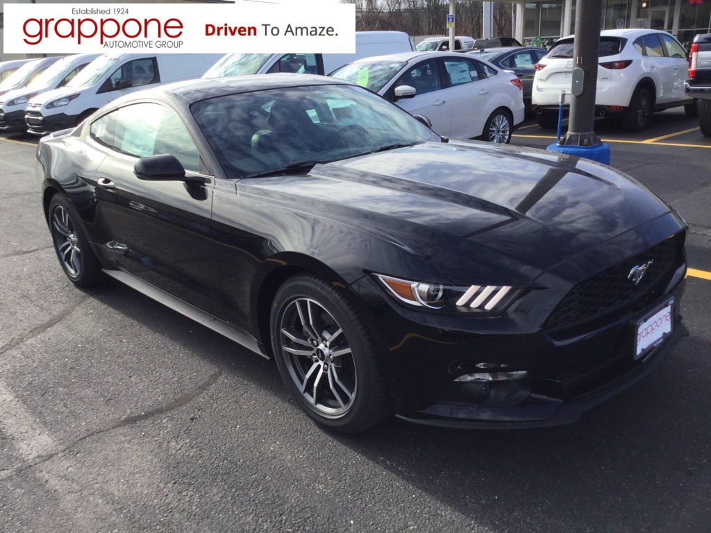 grey hd Ford Mustang Ecoboost