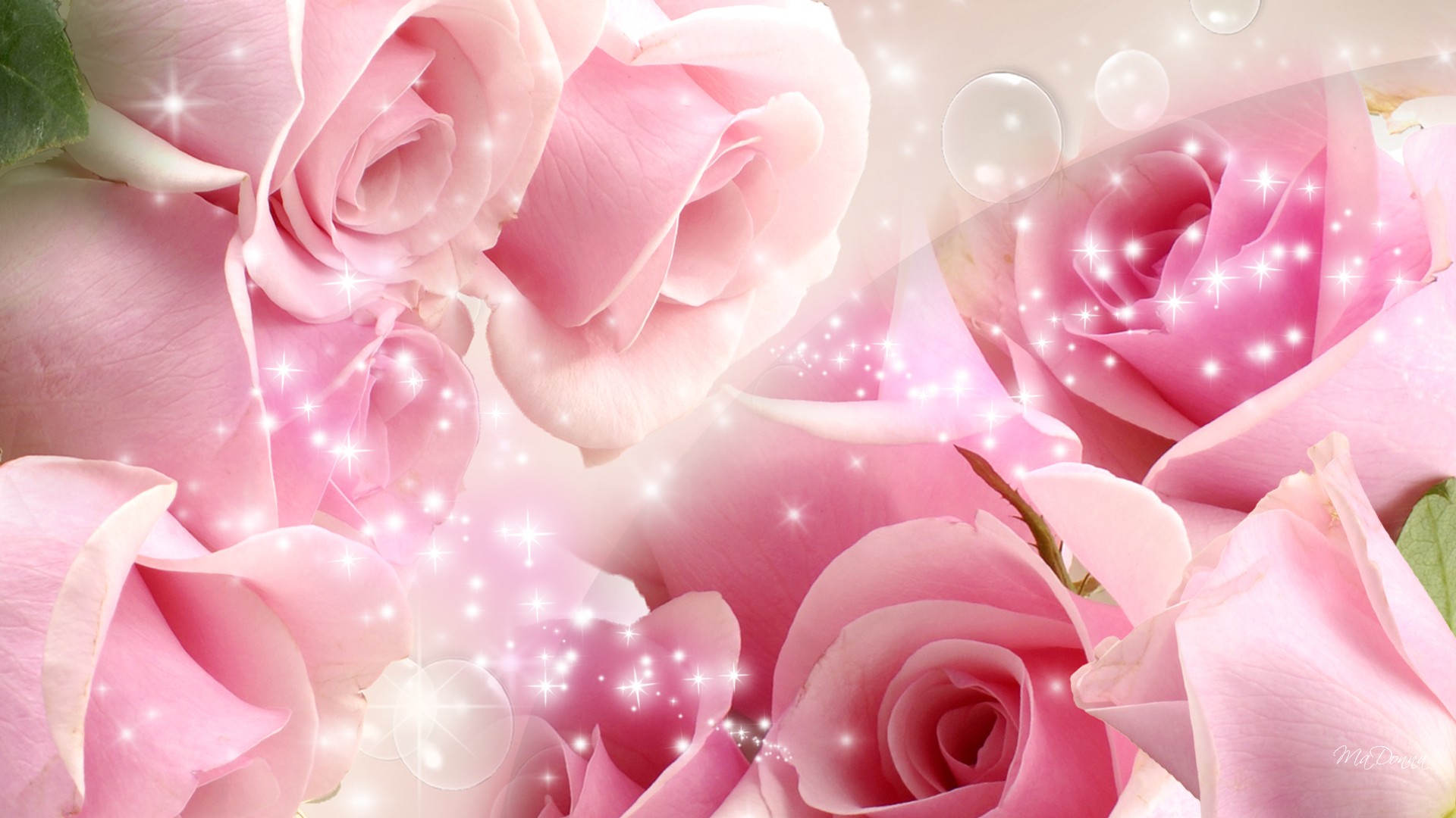 awesome Pink Rose Wallpaper