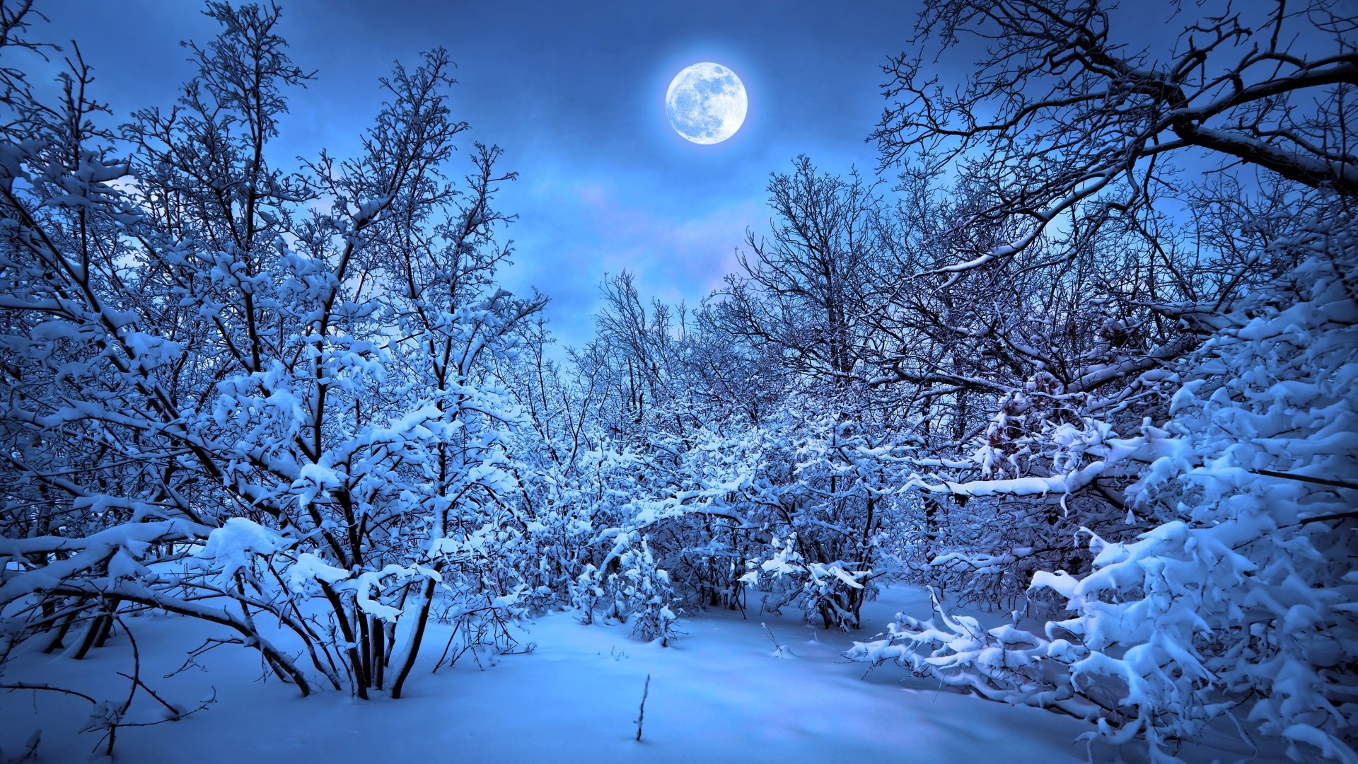 awesome snowfall HD Moon Background