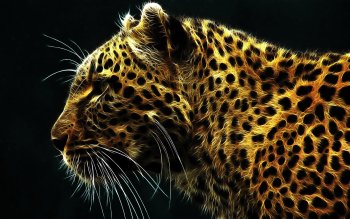 free HD Leopard Wallpaper