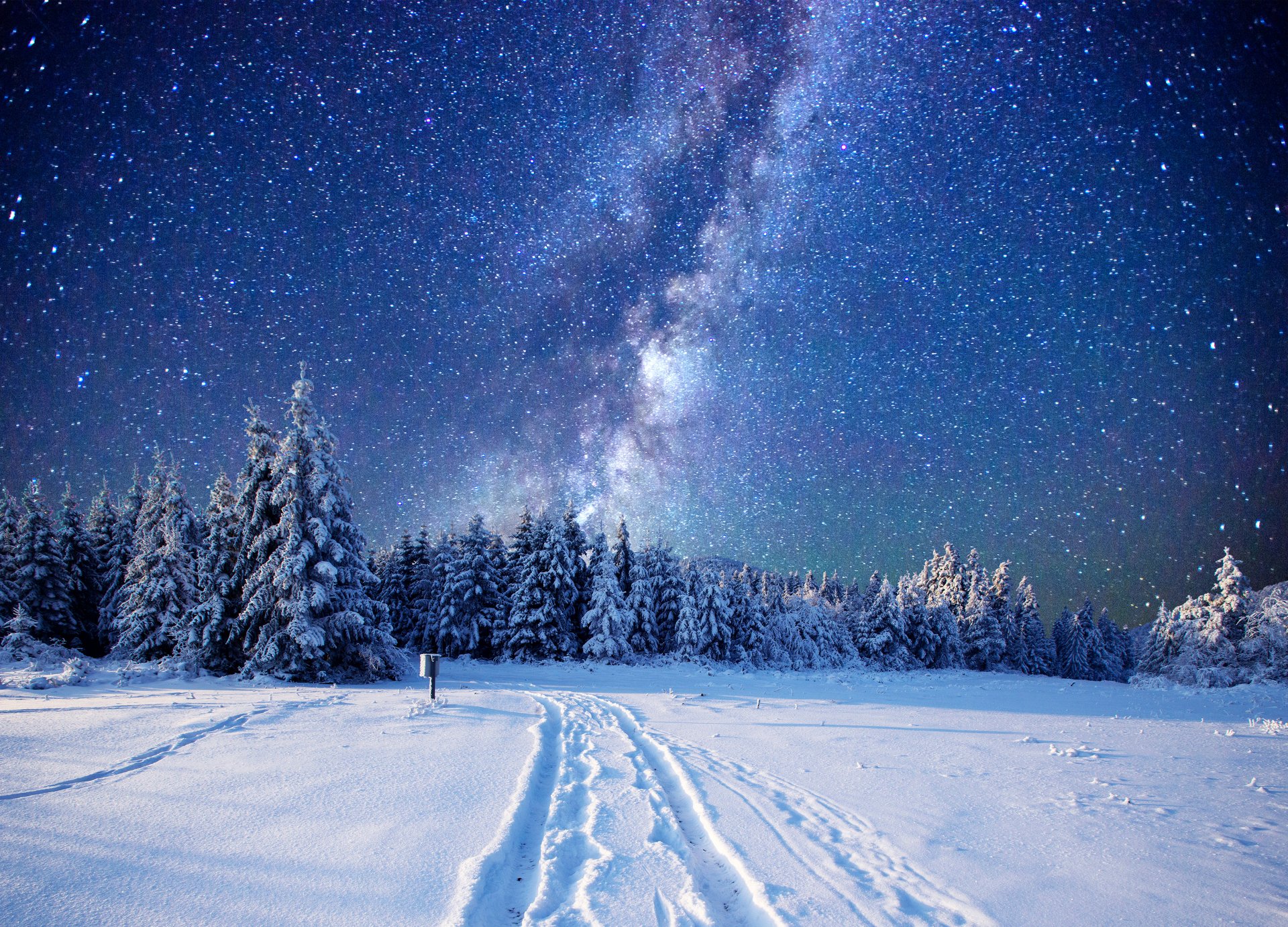 snowfall on tree Milky Way Wallpaper