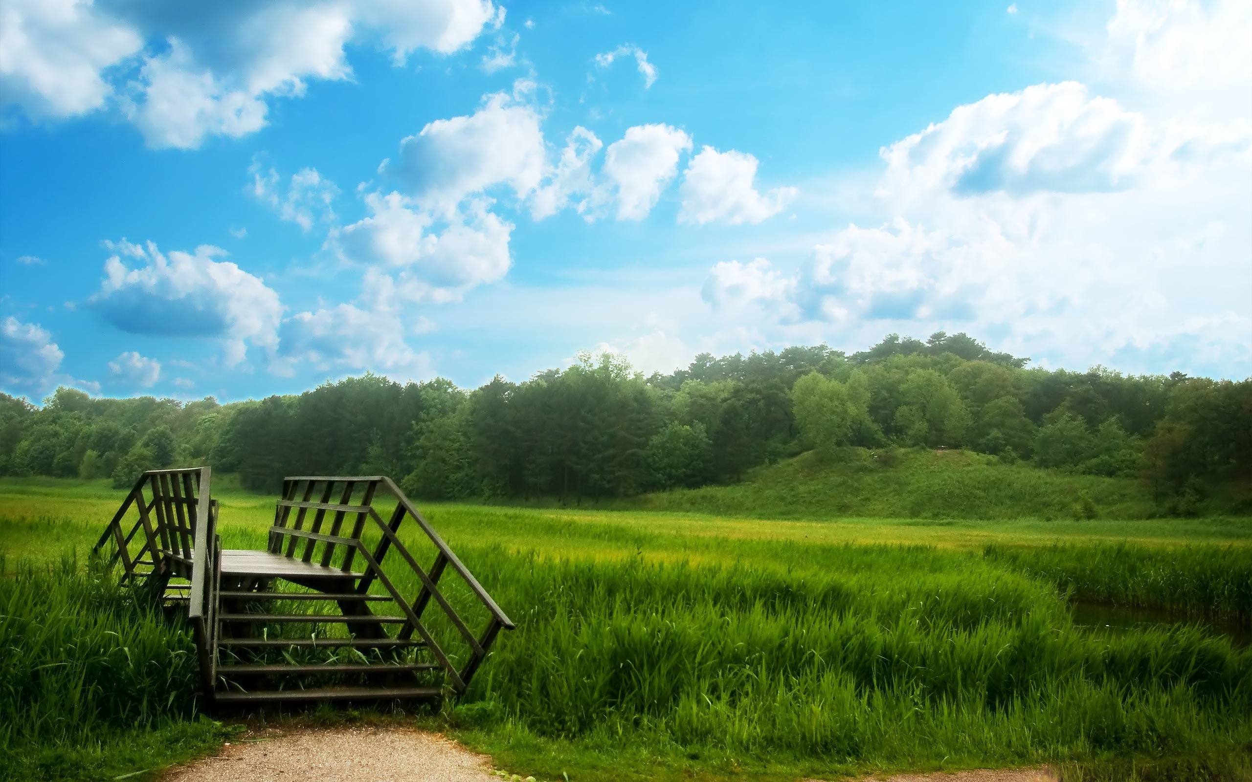 green field HD Nature Background