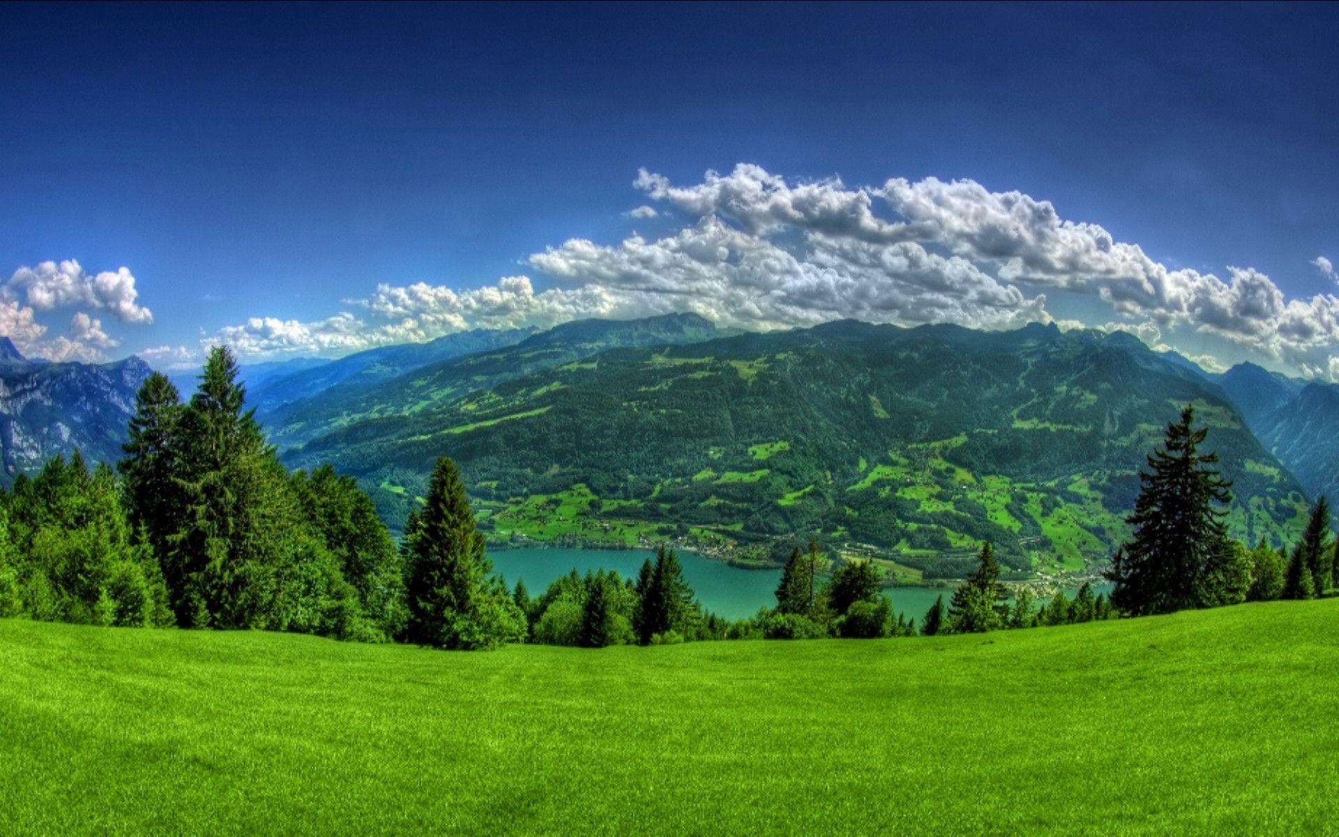 widescreen HD Nature Background