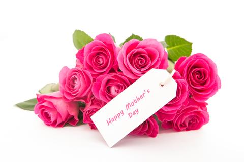 pink roses I Love You Mom image