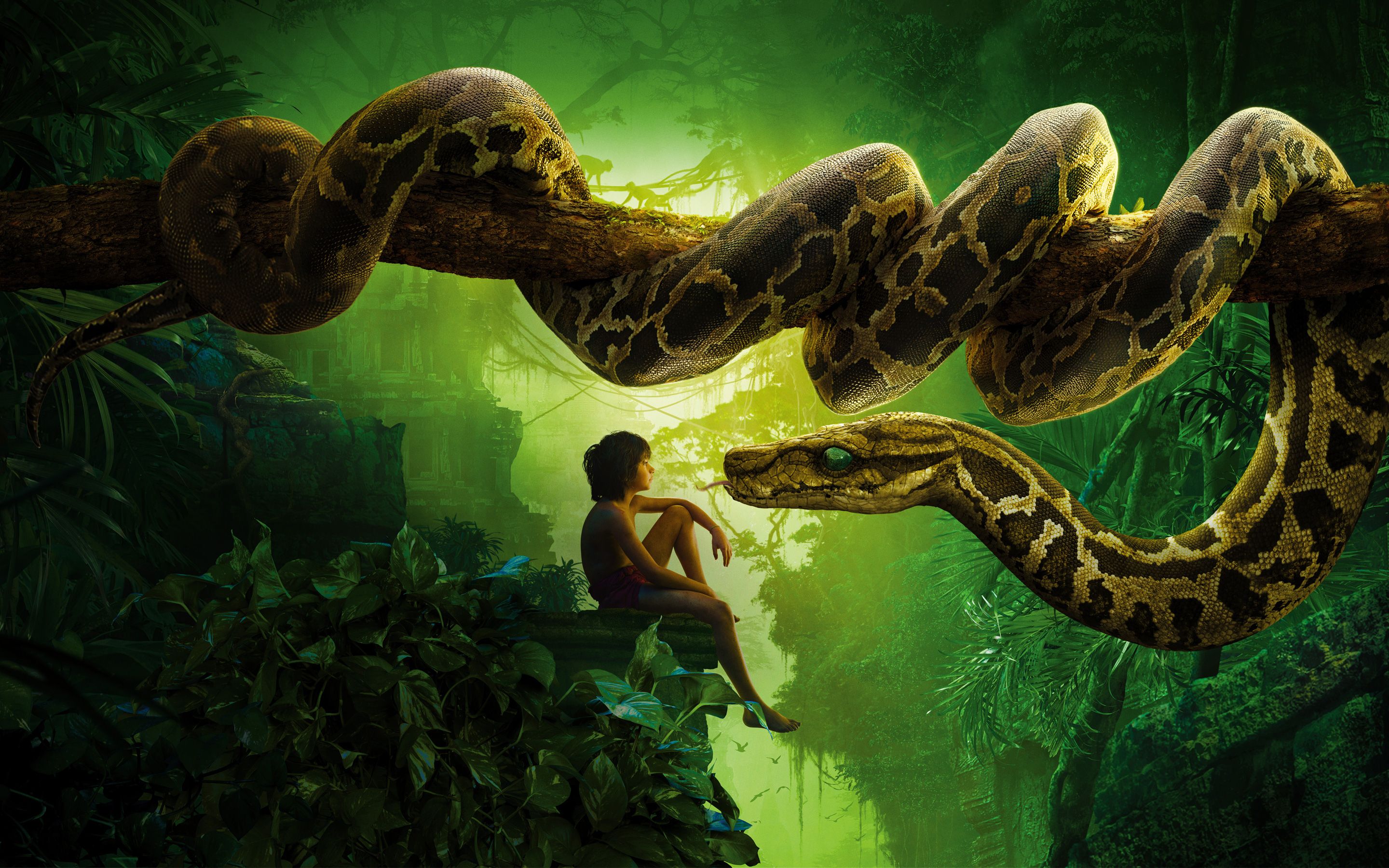 snake Mowgli Wallpaper
