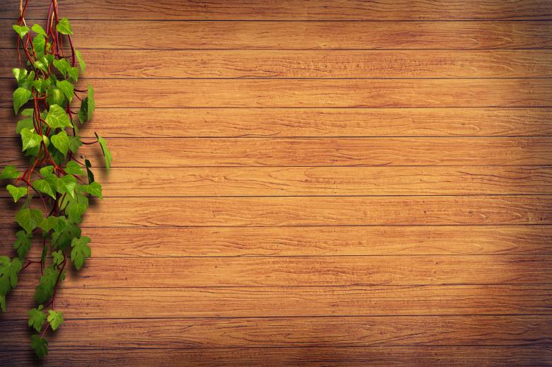 green leaf with wood image