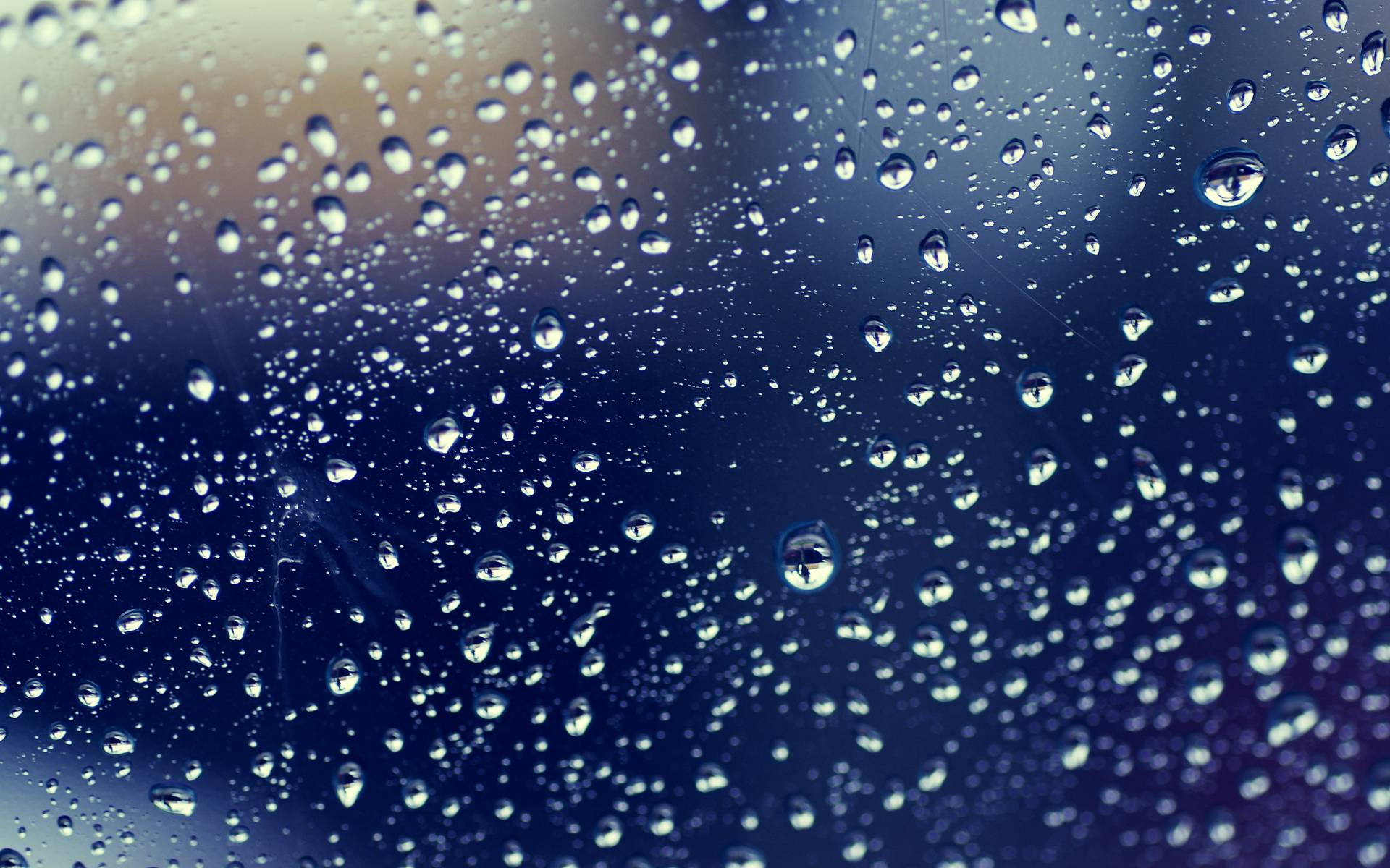 widescreen Rain Drops Wallpaper