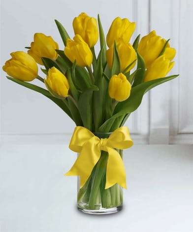 high quality Yellow Tulip Flower