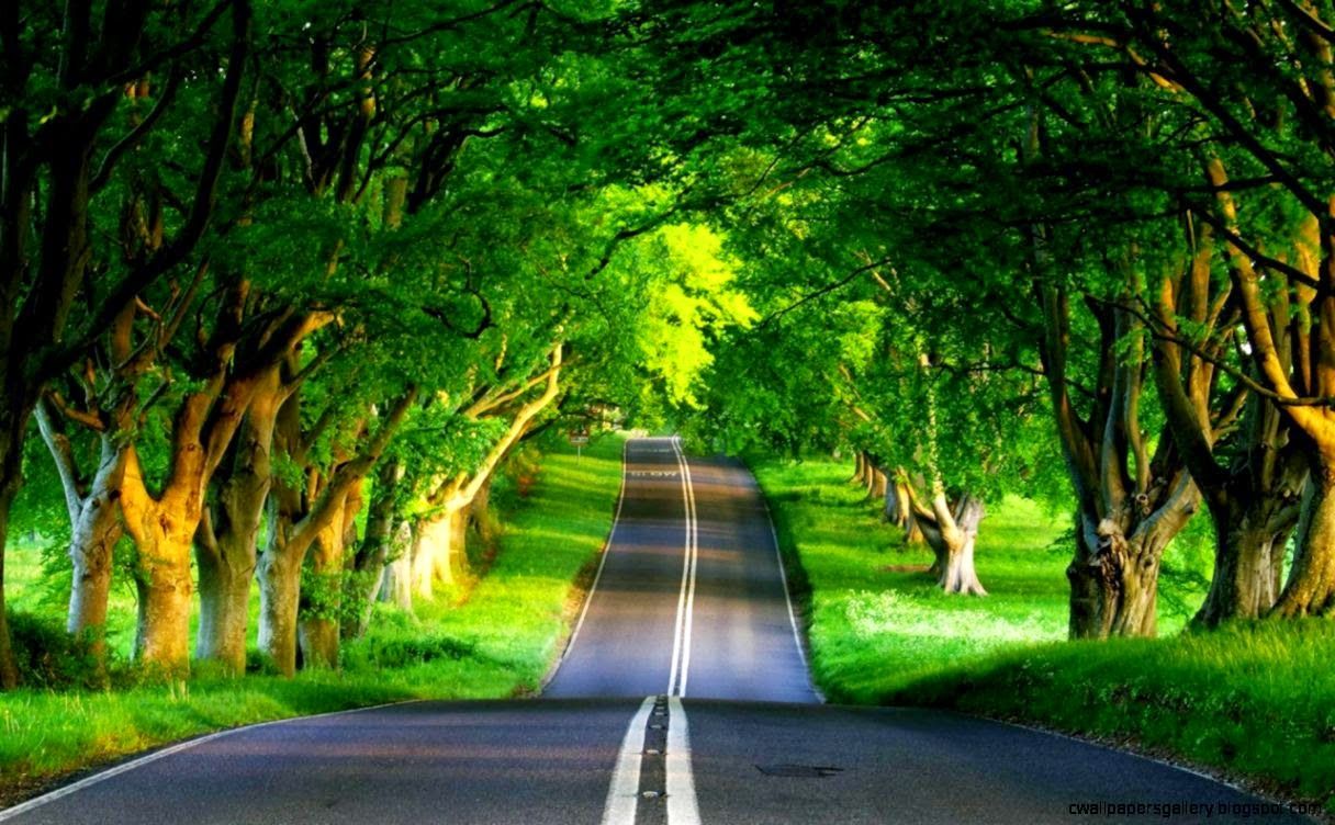 road Full HD Wallpaper