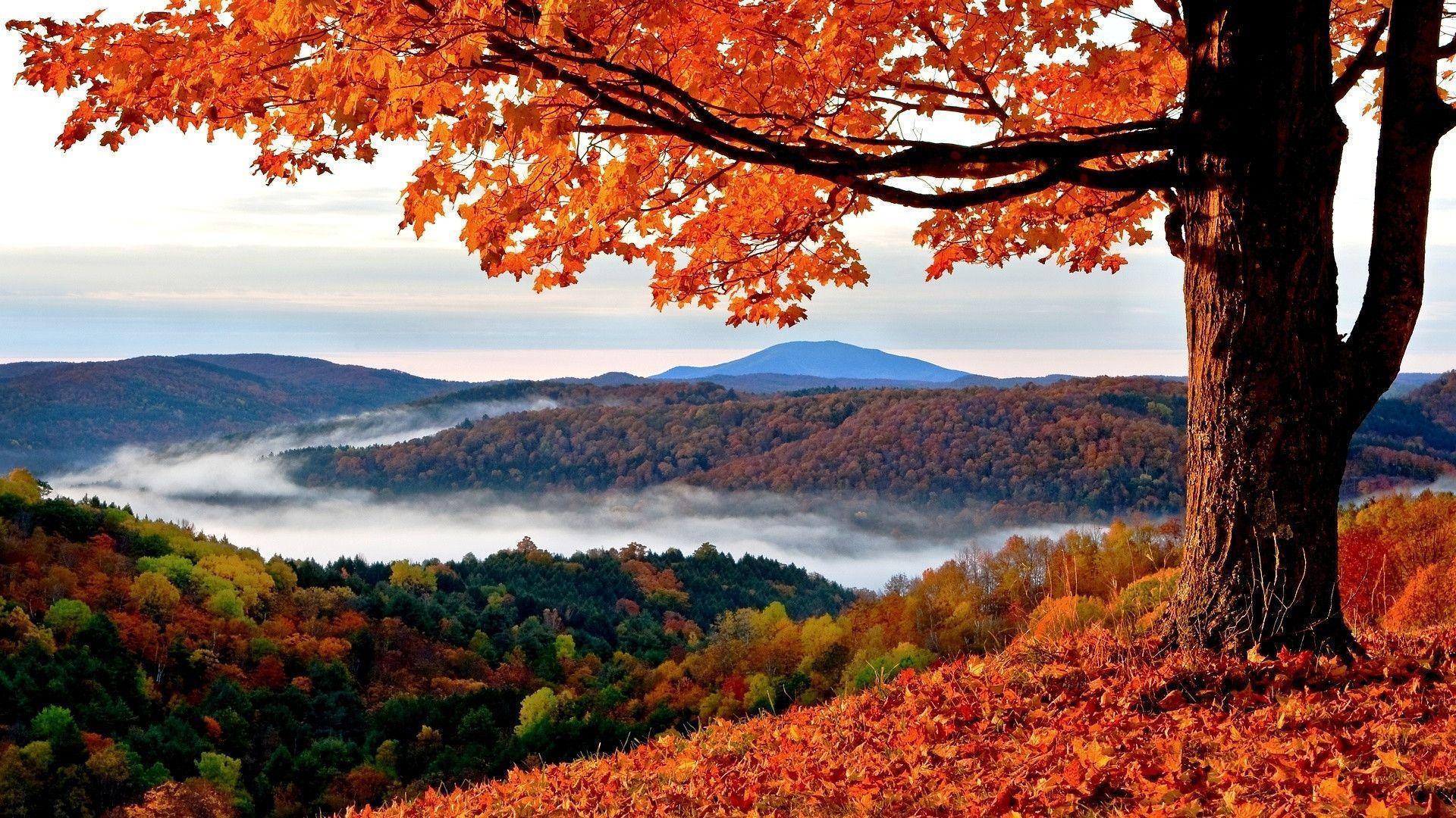 awesome nature Autumn Wallpapers