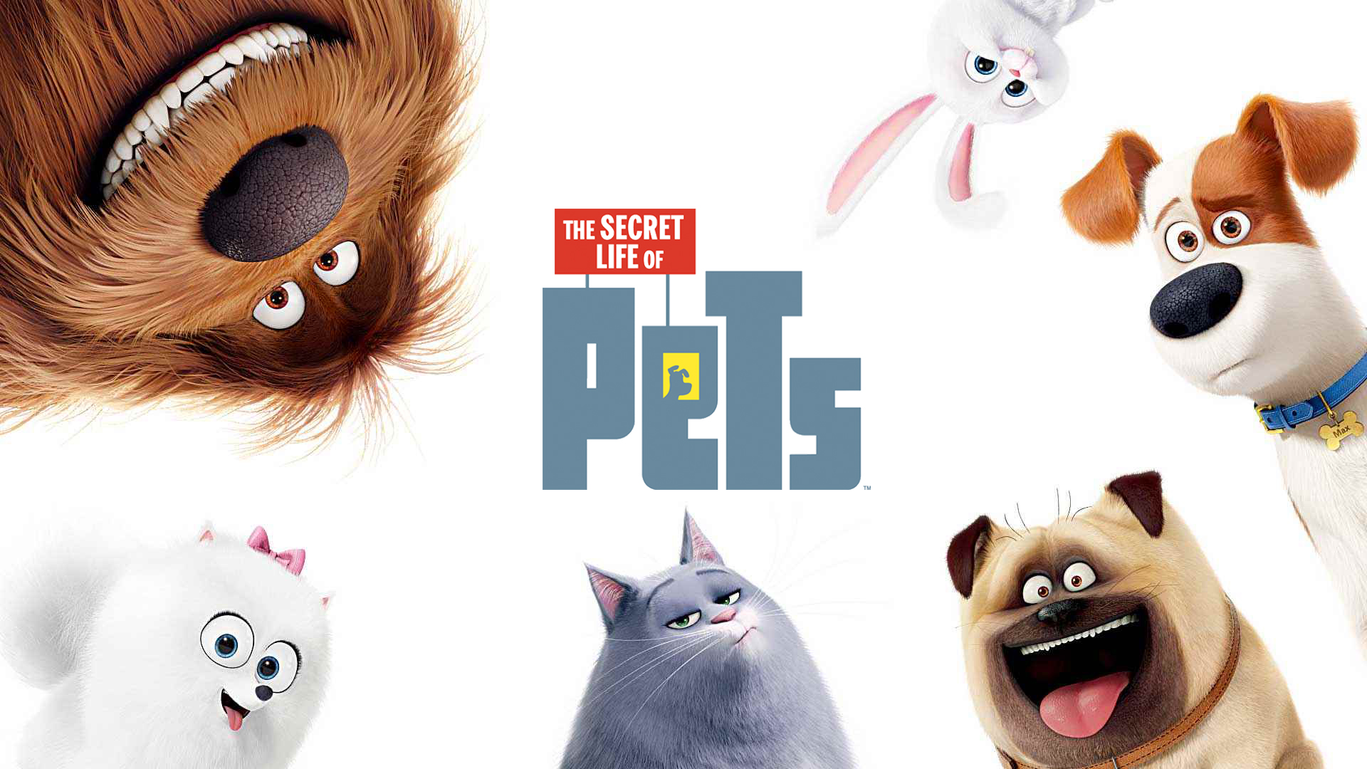 amazing The Secret Life of Pets image