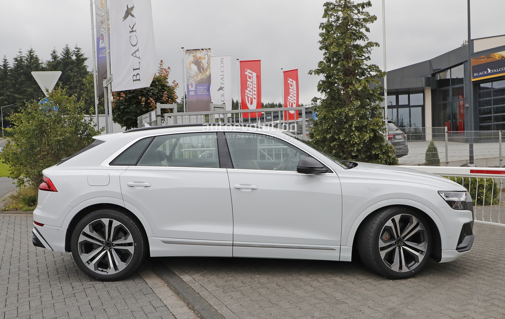 beautiful white Audi SQ8 TDI