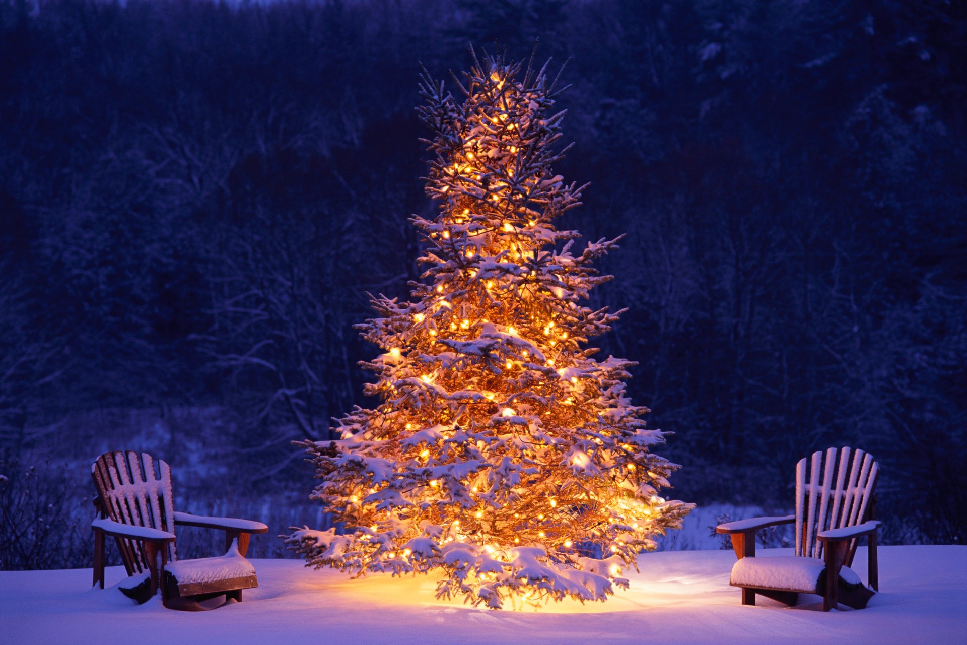 beautiful tree 4K Christmas Wallpaper