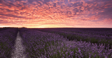 cloudy weather Nature Wallpapers 4K