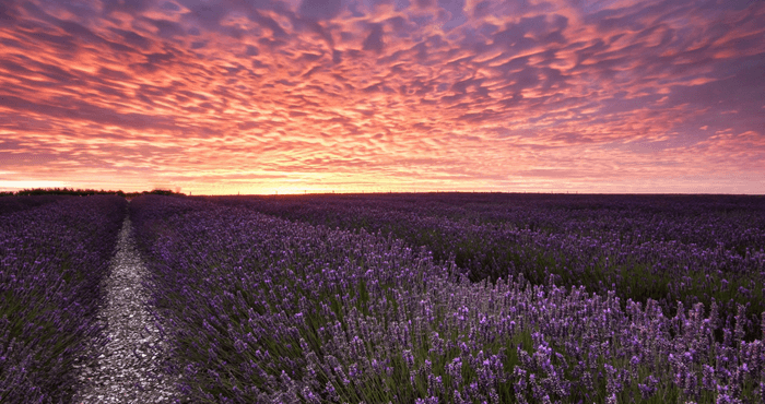 cloudy weather Nature Wallpapers 4K