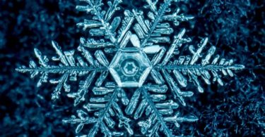 digital Snowflakes Images