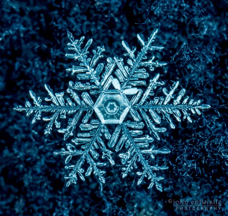 digital Snowflakes Images