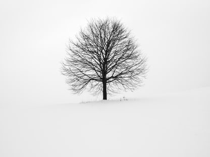 free Black and White Wallpapers
