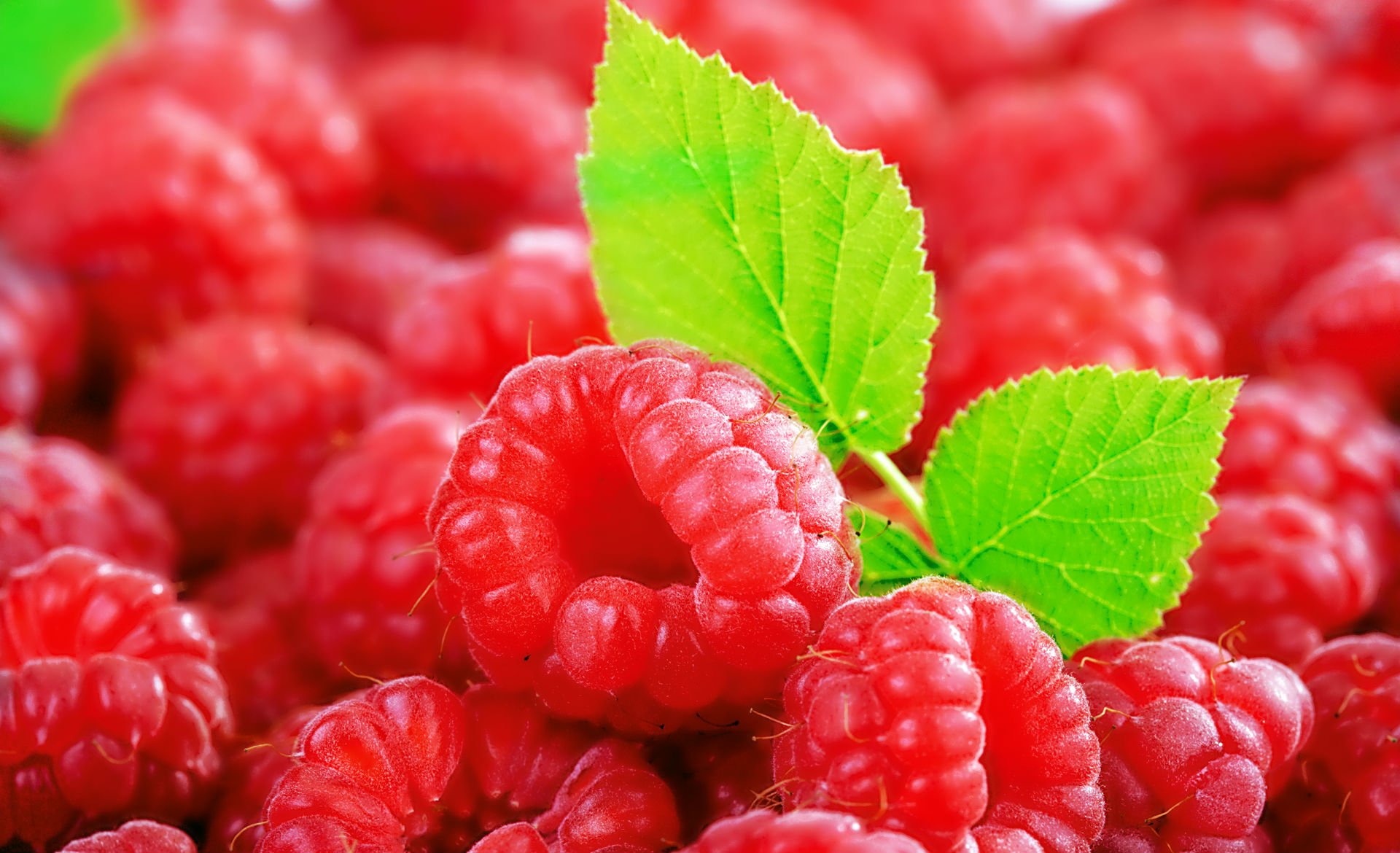 healthy food Raspberries Wallpaper