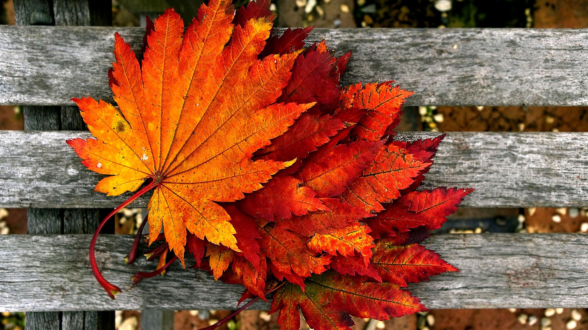 landscape nature HD Autumn Wallpapers