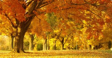 beautiful Best Autumn Wallpapers