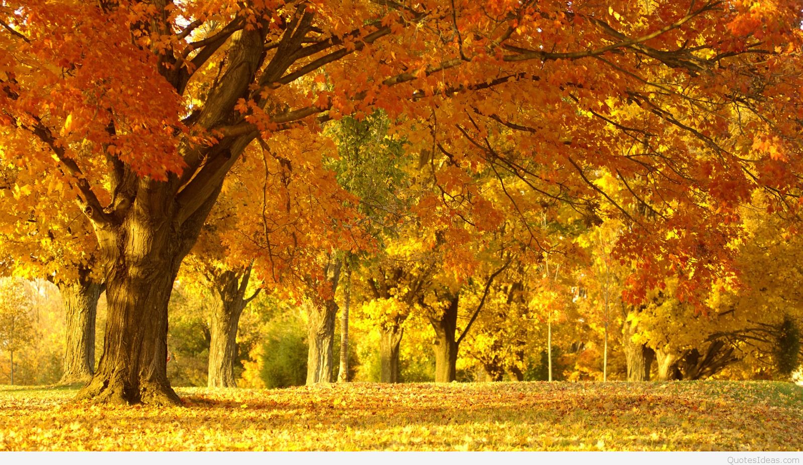 beautiful Best Autumn Wallpapers