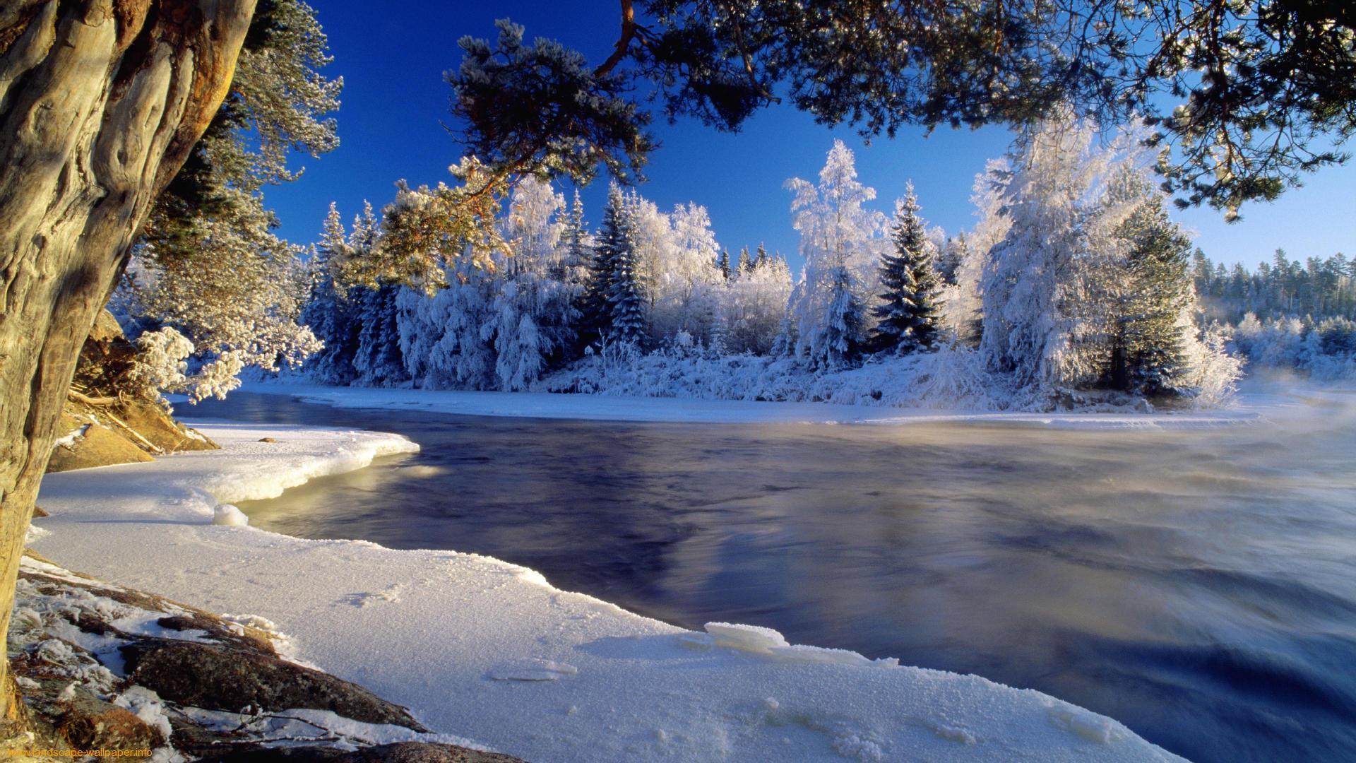 cool nature Winter Wallpapers