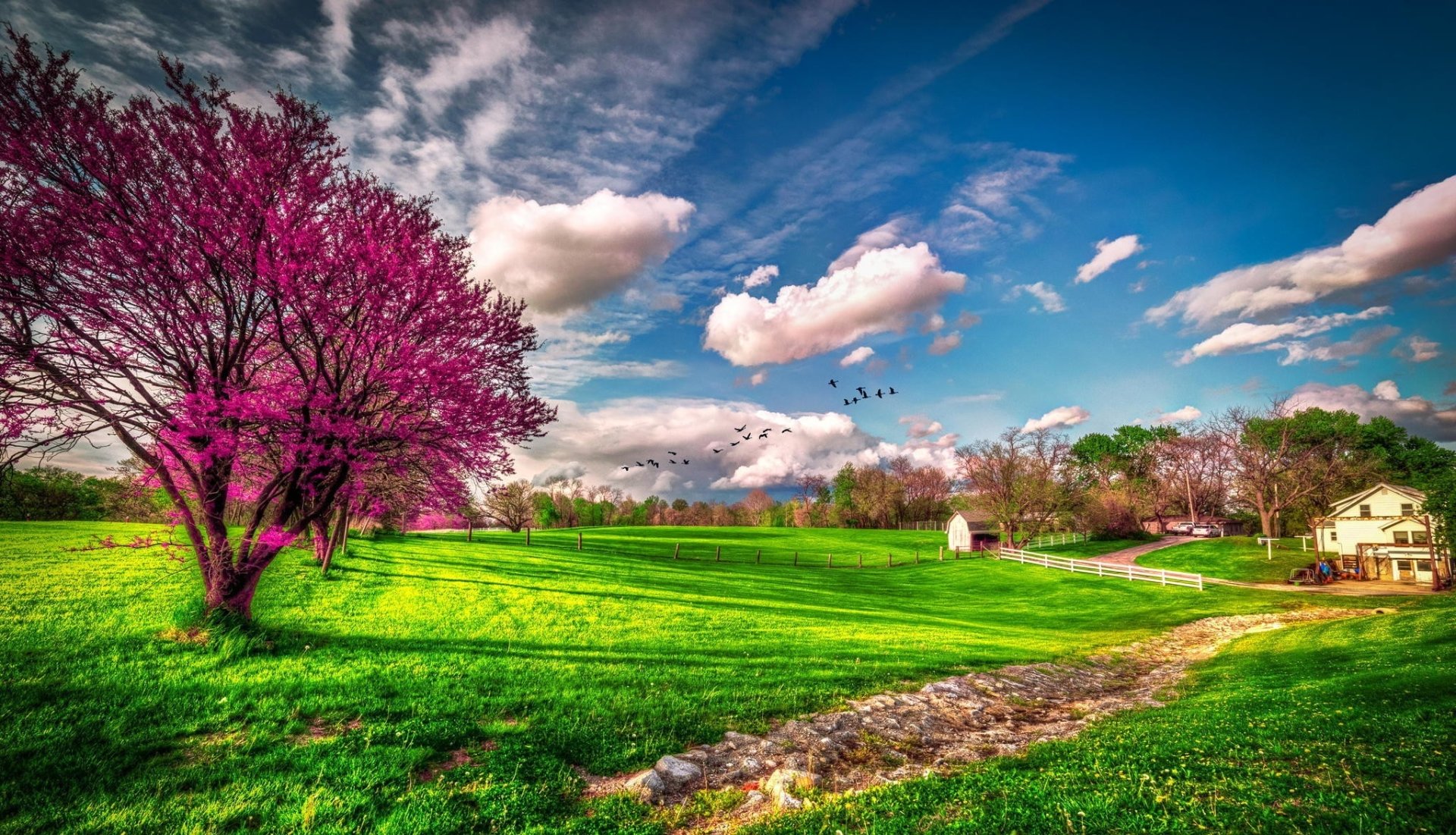 green grass HD Spring Wallpapers