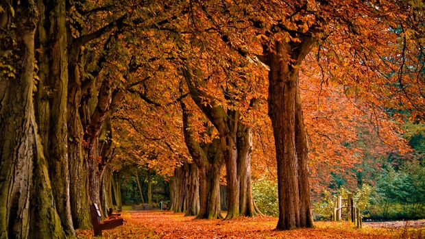 landscape nature Best Autumn Wallpapers