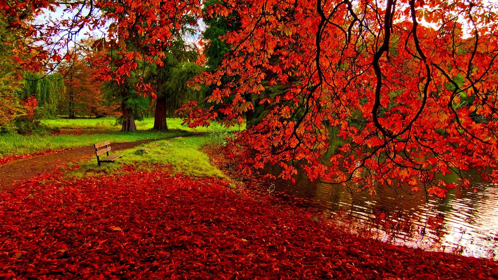 lovely weather HD Autumn Wallpaper