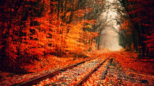 railway path Best Autumn Wallpapers