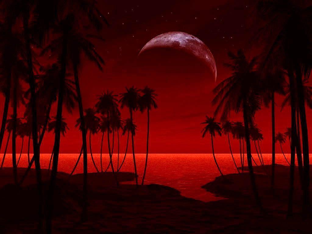tree palm Blood Moon Wallpapers
