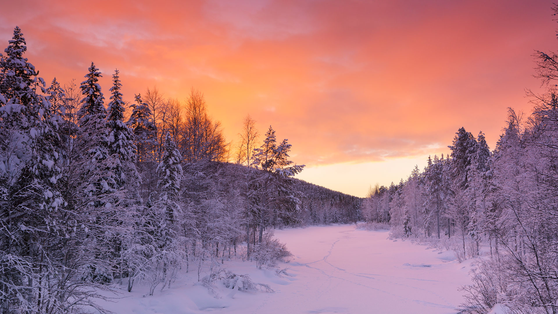 winter in Lapland Wallpaper