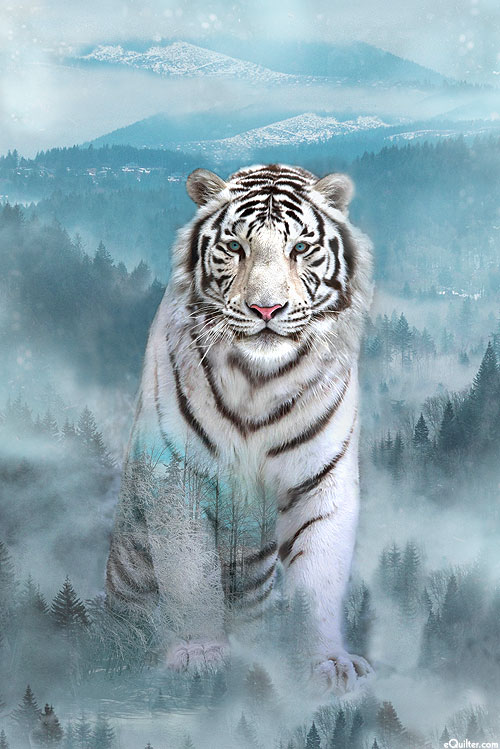 beautiful Snow Tiger Images