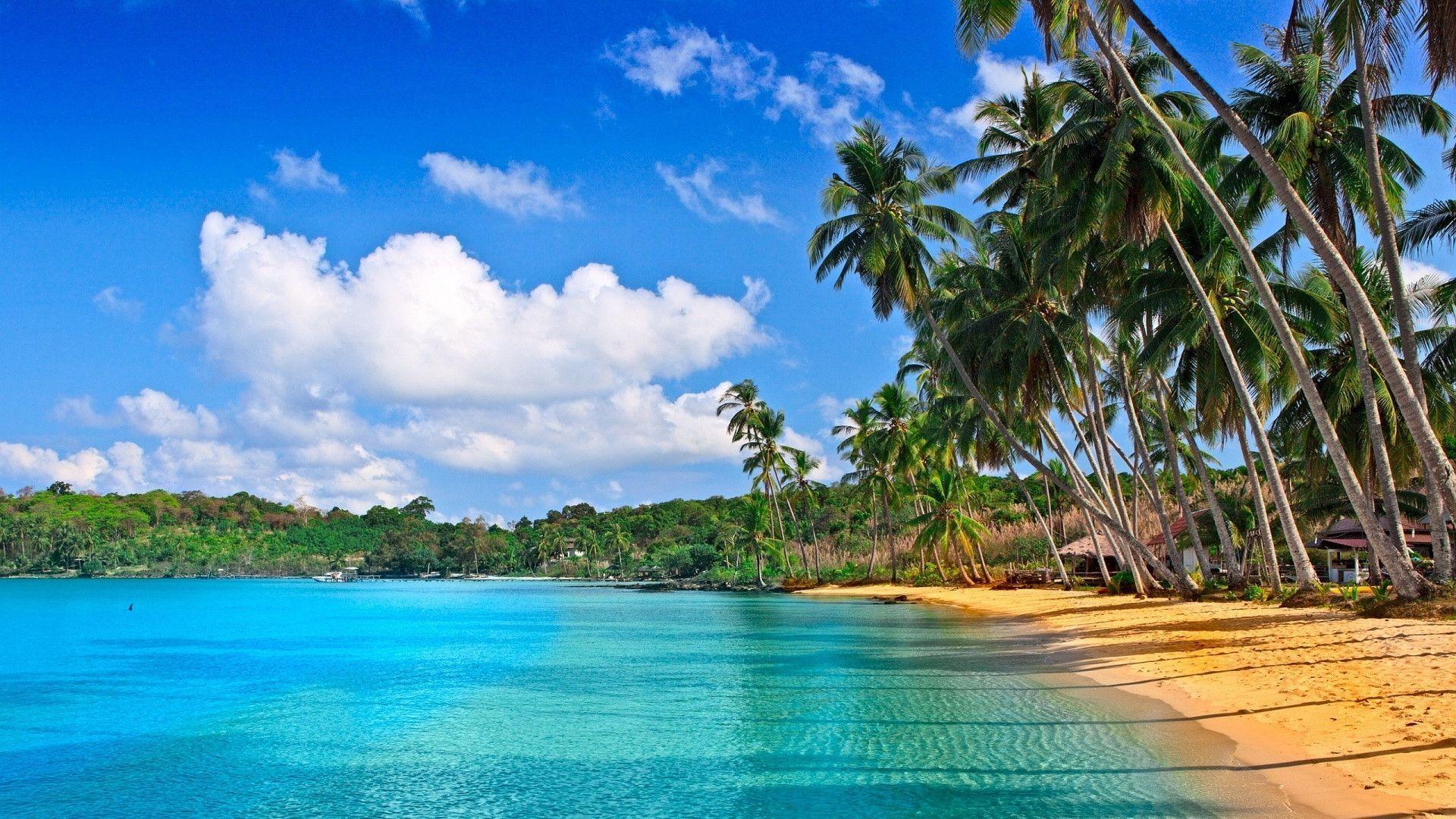 beautiful natural Tropical Beach Wallpaper