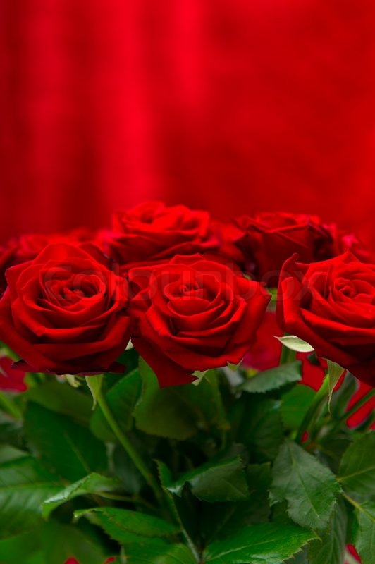 bouquet red rose image