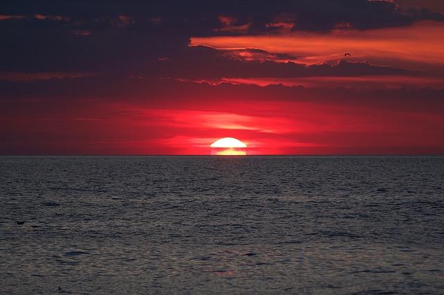 sea natural Beautiful Sunset Scene
