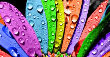drop of water HD Colourful Wallpapers