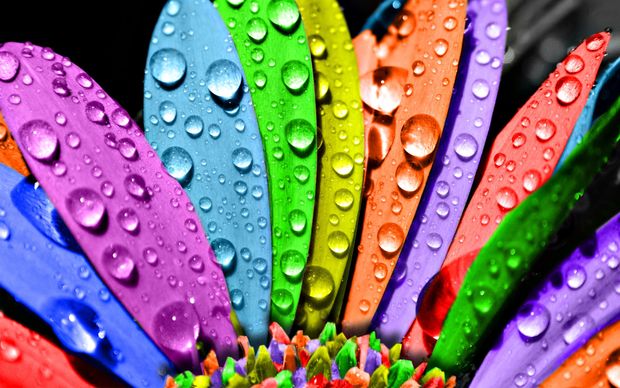 drop of water HD Colourful Wallpapers